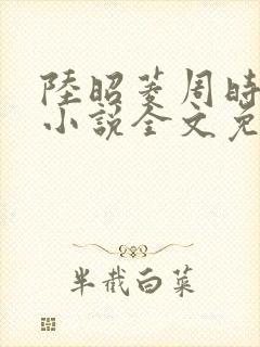 陆昭菱周时阅的小说全文免费阅读