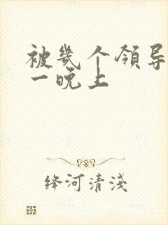 被几个领导玩弄一晚上