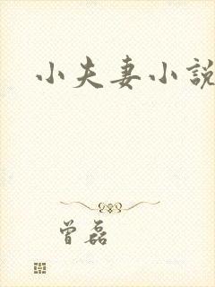 小夫妻小说