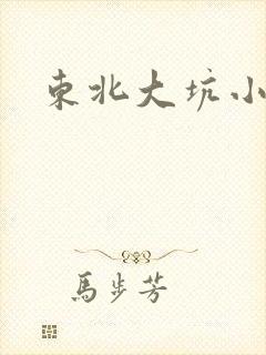 东北大坑小说
