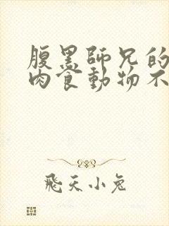 腹黑师兄的日常肉食动物不食草