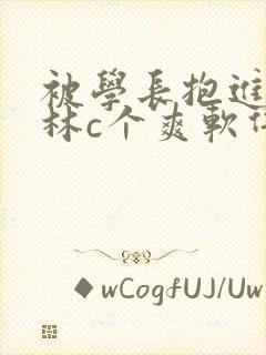 被学长抱进小树林c个爽软件