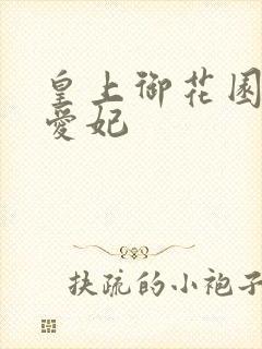 皇上御花园中要爱妃