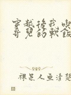 穿越后我吃到了哥儿的软饭炉山灰