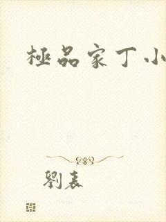 极品家丁小说