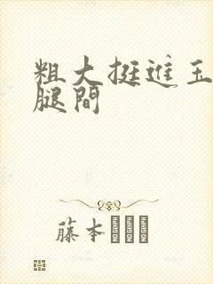 粗大挺进玉芬双腿间