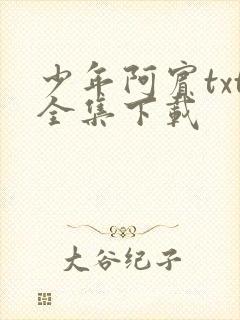 少年阿宾txt全集下载