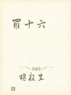 罗十六