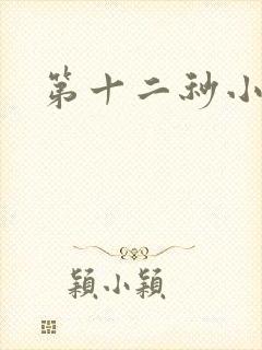 第十二秒小说