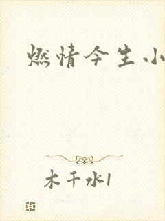 燃情今生小说