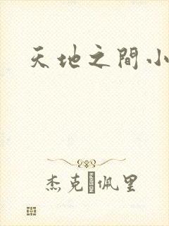 天地之间小说
