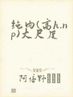 纯肉(高h.np)大尺度