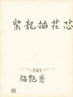 紫龙插花芯方正