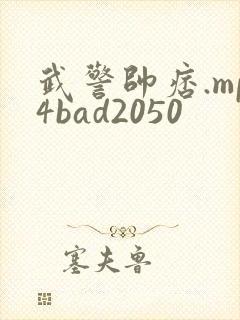 武警帅痞.mp4bad2050