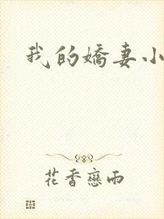 我的娇妻小说