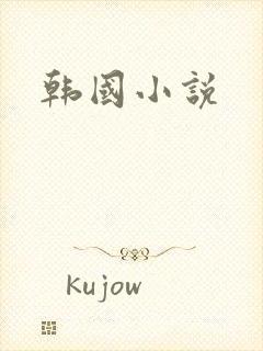 韩国小说