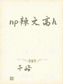 np辣文高h