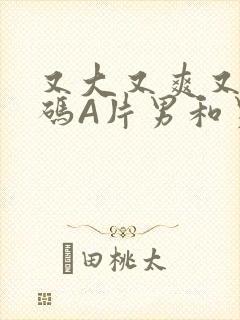 又大又爽又黄无码A片男和男