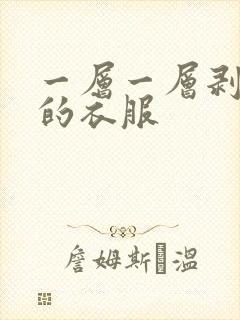 一层一层剥开你的衣服