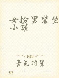 女扮男装坐江山小说