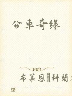 公车奇缘