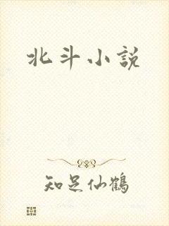 北斗小说