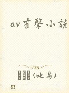 av有声小说