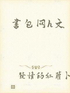 书包网h文