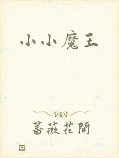小小魔王