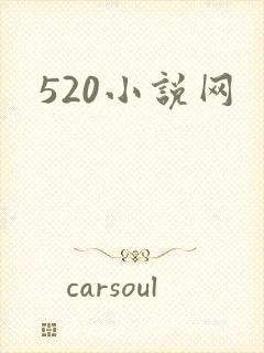 520小说网