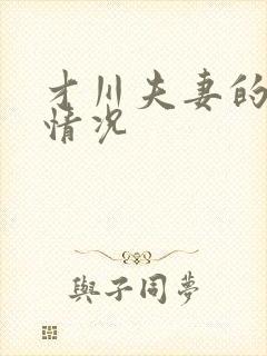 才川夫妻的恋爱情况