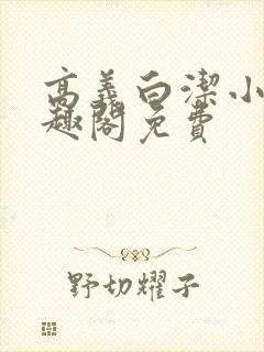 高义白洁小说笔趣阁免费