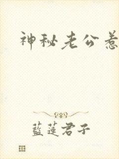 神秘老公惹不起