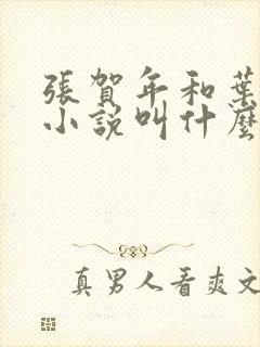 张贺年和叶繁姿小说叫什么名字