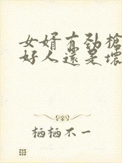 女婿有劲枪枪是好人还是坏人