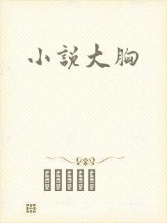 小说大胸