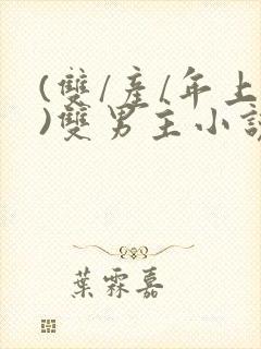 (双/产/年上)双男主小说