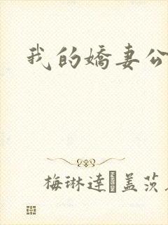 我的娇妻公务员