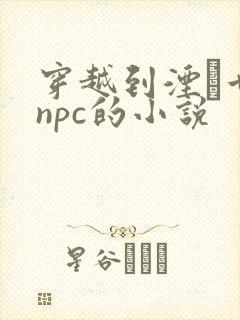 穿越到湮婸世界npc的小说