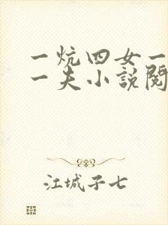 一炕四女一共侍一夫小说阅读
