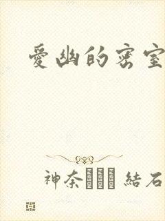 爱幽的密室小说