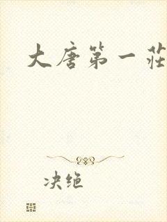 大唐第一庄