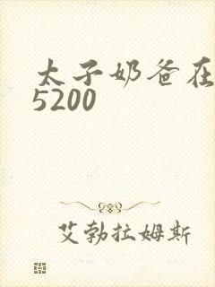 太子奶爸在花都5200