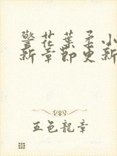 警花叶柔小说最新章节更新