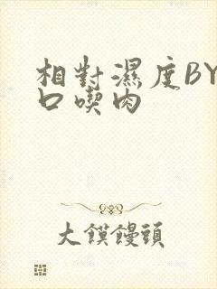 相对湿度BY大口吃肉