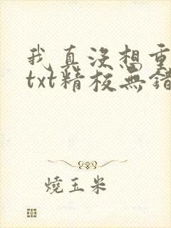 我真没想重生啊txt精校无错版