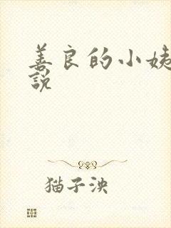 善良的小姨子小说