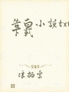 告白小说txt下载