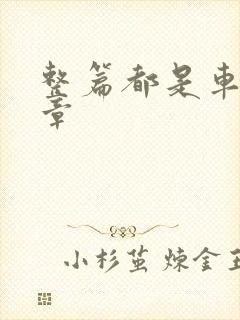 整篇都是车的文章