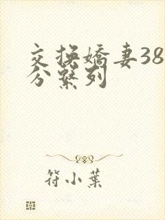 交换娇妻38部分系列